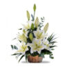 Arrimo de Lilium Oriental