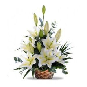 Arrimo de Lilium Oriental