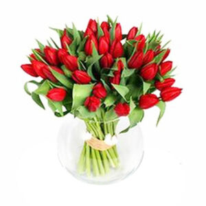 Pecera con 40 Tulipanes
